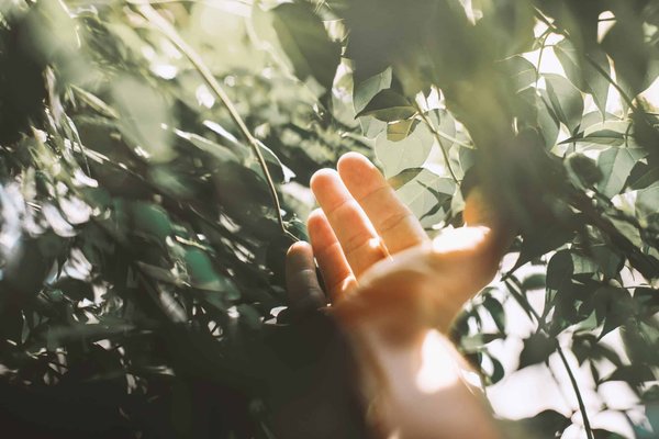 Quelle est la relation entre les jeux vidéo et l'art contemporain ?