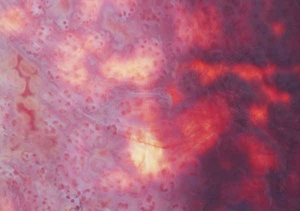 Quels sont les avantages des imprimantes 3D à résine pour la création de modèles détaillés ?